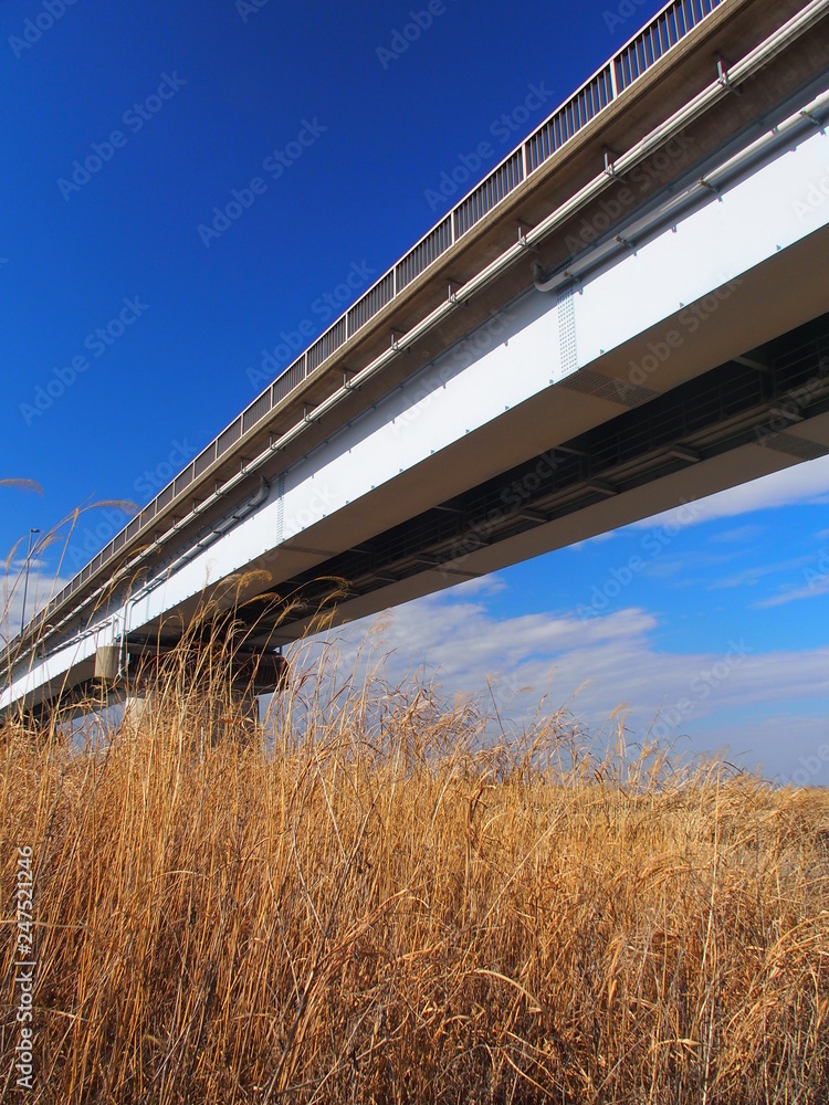 冬の上葛飾橋風景
