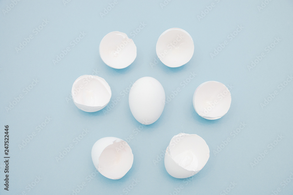 Broken white egg shells around the whole egg, isolated on blue background Broken white egg shells around the whole egg, isolated on blue background