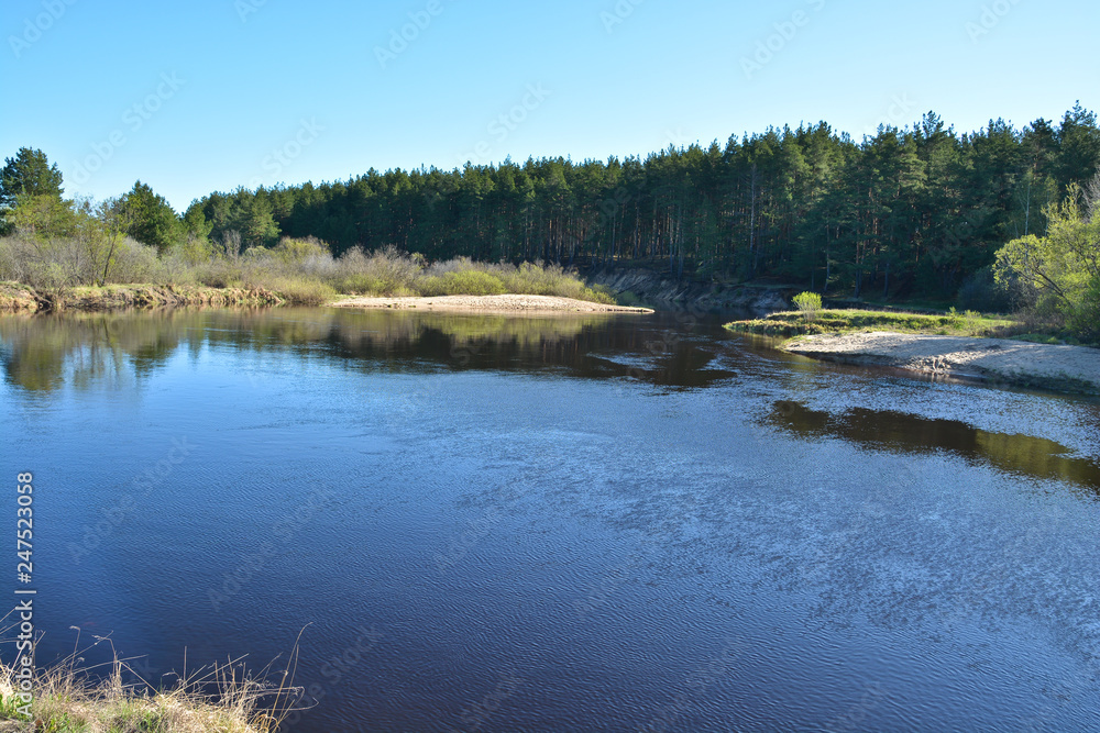 River spring landscape.