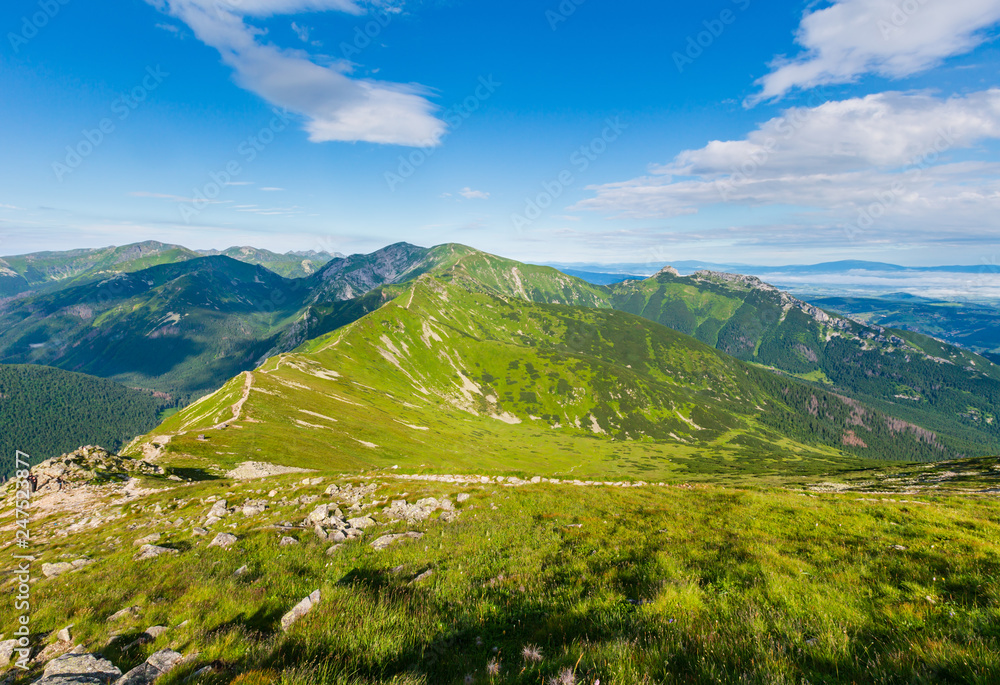 Fototapeta premium Summer Tatra Mountain, Poland