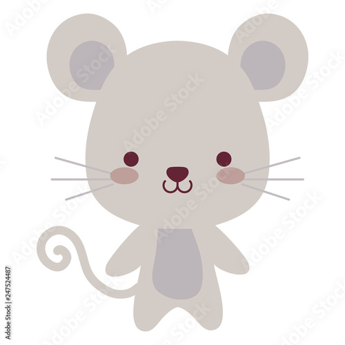 cute and little koala character
