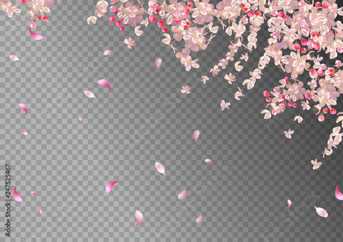 Spring Blossom Background