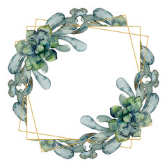 Jungle botanical succulent. Watercolor background illustration set. Frame border ornament square.