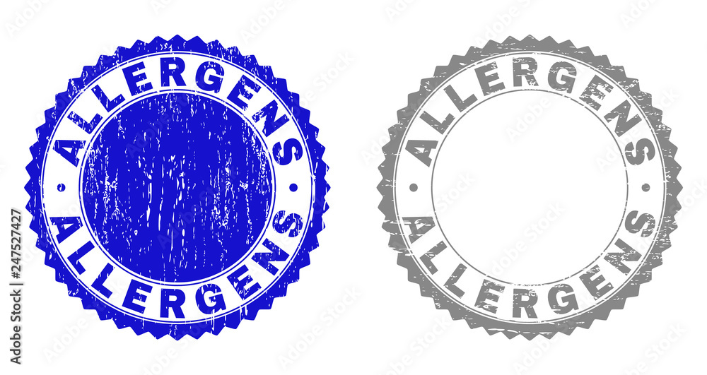 ALLERGENS stamp seals with distress texture in blue and gray colors isolated on white background. Vector rubber overlay of ALLERGENS title inside round rosette. Stamp seals with retro textures. ALLERGENS stamp seals with distress texture in blue and gray colors isolated on white background. Vector rubber overlay of ALLERGENS title inside round rosette. Stamp seals with retro textures.