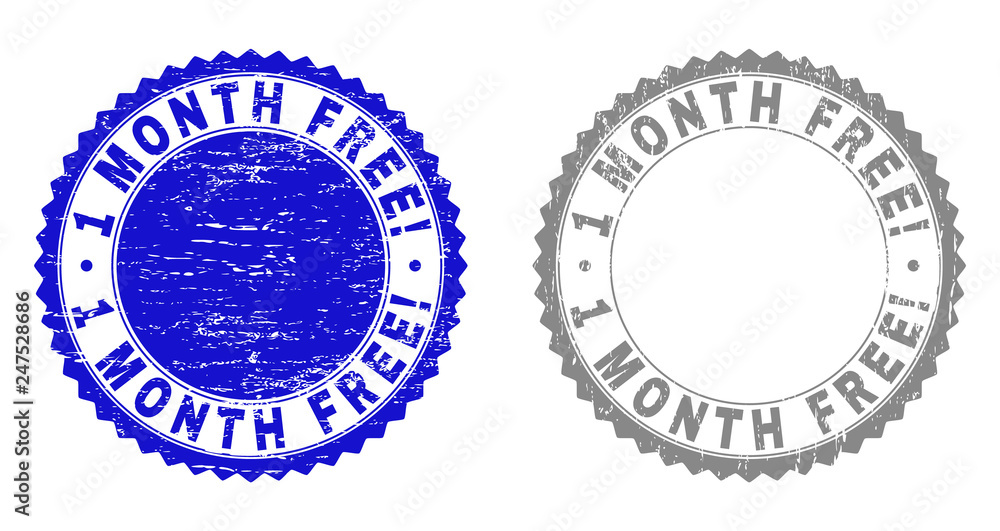 1 MONTH FREE! stamp seals with grunge texture in blue and gray colors ...