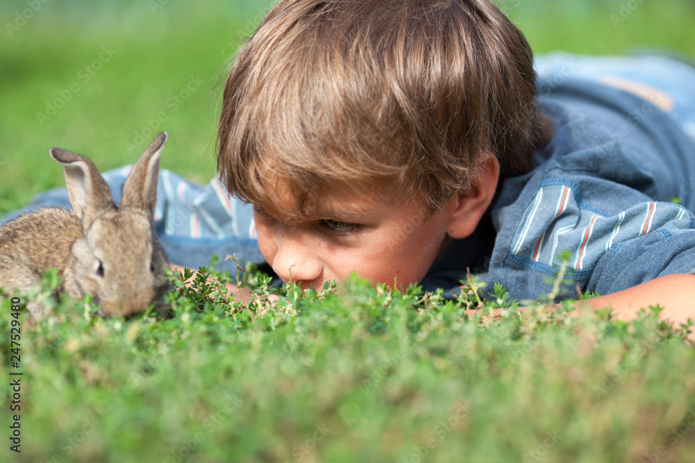 Portrait of boy and gray rabbit. outdoor Portrait of boy and gray rabbit. outdoor
