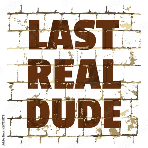 Last Real Dude printed on stylized brick wall. Textured humorous inscription for your design. Vector