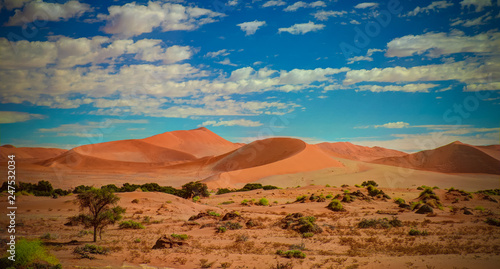 Sand dunes Namib-Naukluft national park in Namibia