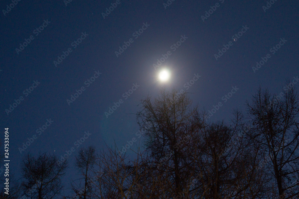 Fototapeta premium Lunar