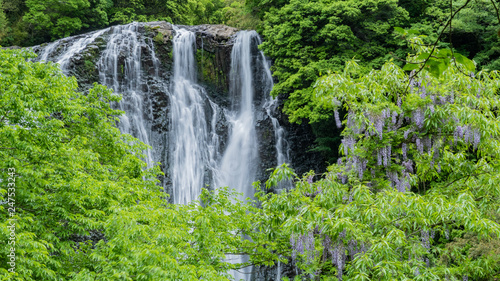 Falls 鹿児島県龍門滝２