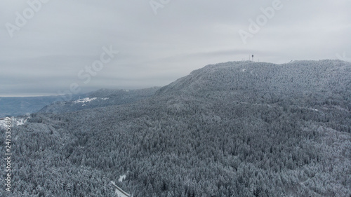 Mount Trebevic and forest in winter, Sarajevo, Bosnia and Herzegovina photo