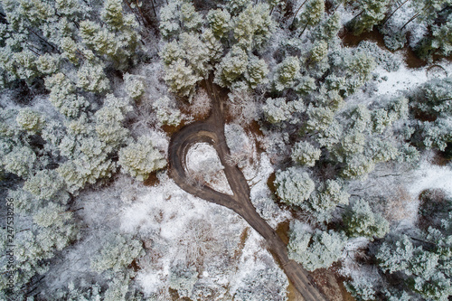 road with snowy forest