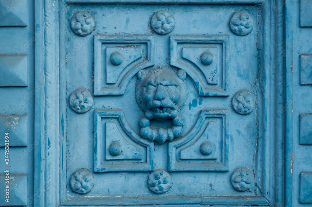 closeup of ancient luxury door with lion sculpture