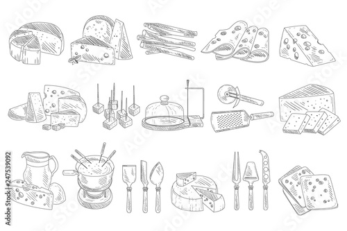 Hand drawn set of different types of cheese. Organic and fresh dairy products. Realistic sketch style icons. Monochrome vector design for decoration