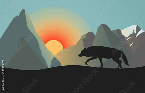 Silhouette of Wild Wolf. Sunset or Sundown in Mountains.