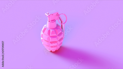 Canvas Print Pink Grenade