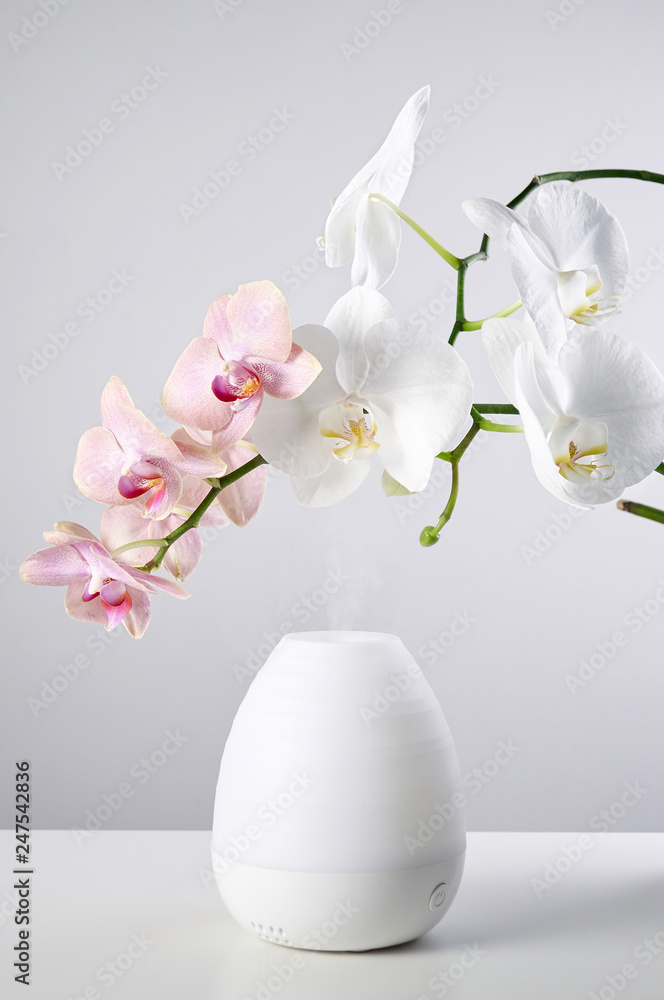 Ultrasonic Oil diffuser and orchid flowers on white table of gray background