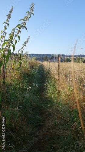 sentier