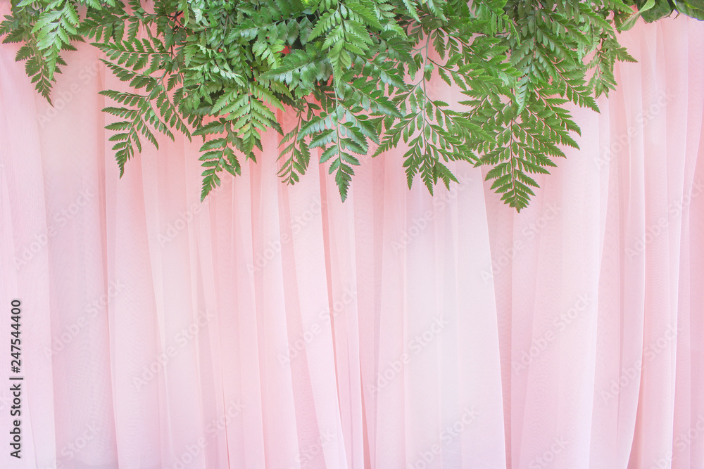 Colorful ornamental ferns leaf patterns group on light pink curtains  texture for background Stock Photo | Adobe Stock