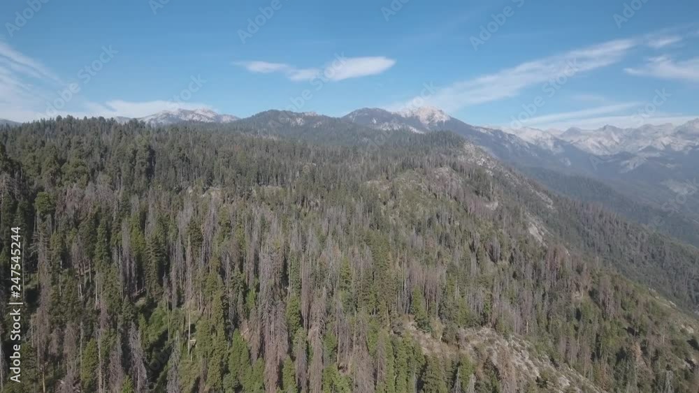 4K aerial view of Sequoia National Park and Sierra Nevada mountains 4K aerial view of Sequoia National Park and Sierra Nevada mountains