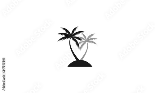 Coconut tree vector