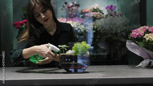 Woman florist sprays with water plants in florarium.