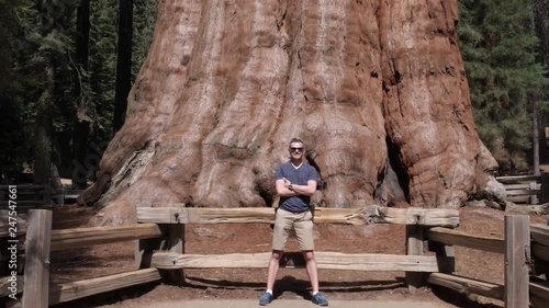 General Sherman - The biggest tree in the world, Sequoia Park, California, USA