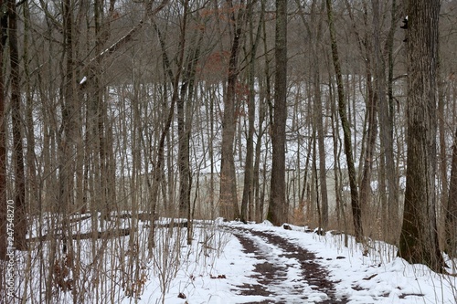 A slippery snowy trail down a hill in the forest.