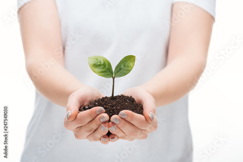 selective focus of woman protecting ground with green plant isolated on white