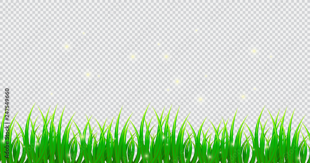 Fototapeta premium Spring grass on isolated background in realistic style. Border. Garden. Vector illustration design.