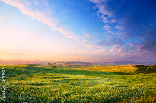 Panorama of a colourful sunset on a flowering green meadow