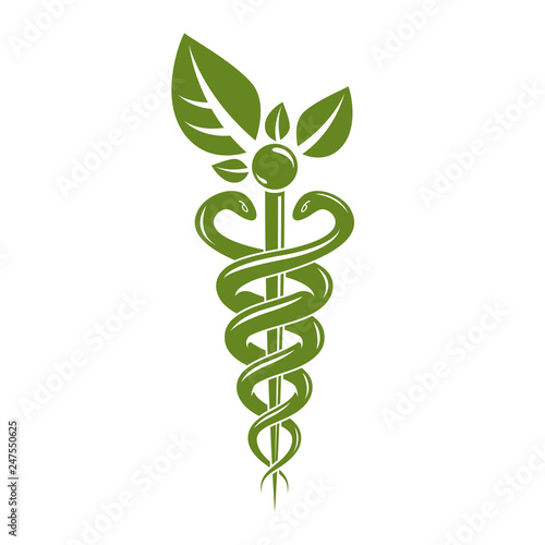 Aesculapius vector abstract illustration created using snakes and green leaves, Caduceus symbol. Healthy lifestyle is strong heart.
