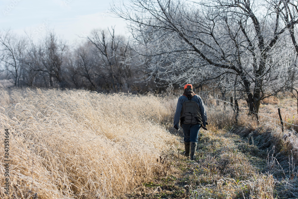 A Quail hunter in southern Iowa on a late autumn day A Quail hunter in southern Iowa on a late autumn day