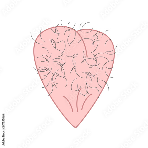 Male heart hairy. Mans balls. Vector cartoon 