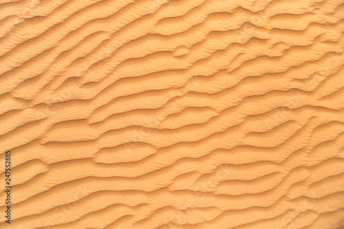 Detail of sand dune texture Fotobehang