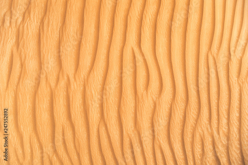 Detail of sand dune texture
