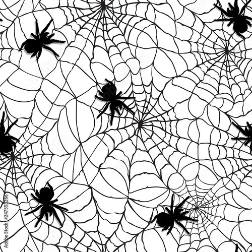 spider web texture background