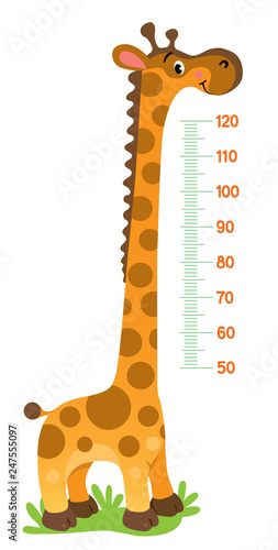 Giraffe meter wall or height chart or wall sticker