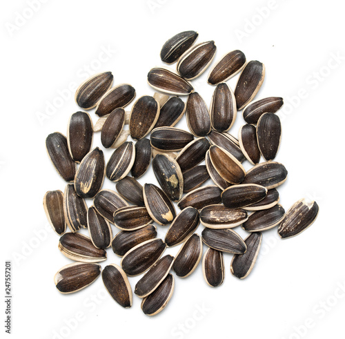 gray sunflower seeds isolated on white background