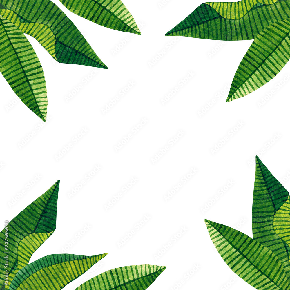 Template with green tropical leaves. Hand drawn watercolor illustration. Isolated on white background. Template with green tropical leaves. Hand drawn watercolor illustration. Isolated on white background.