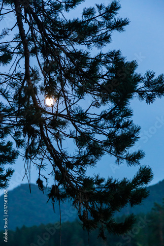 Bright moon over the mountain river Katun in Altai  Russia