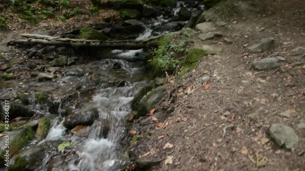 stormy streams of a mountain river flow through stones stormy streams of a mountain river flow through stones