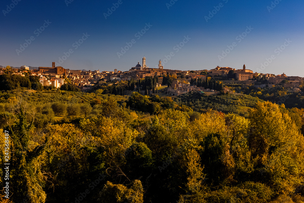 Siena, Toskana, Italien, Dom und Torre del Mangia, von Agostoli aus gesehen