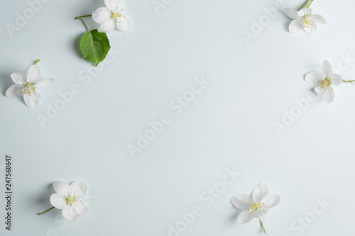 Apple flowers spring background for congratulations on mother's day. copy space