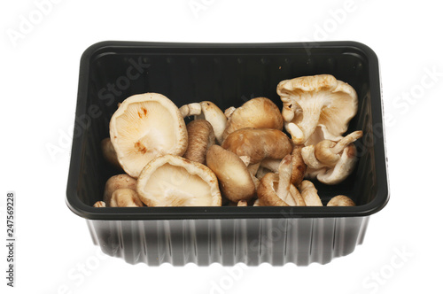 Shitake mushrooms in a carton