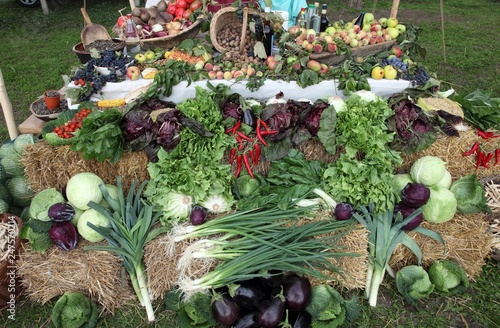 Garden harvest of homegrown produce photo