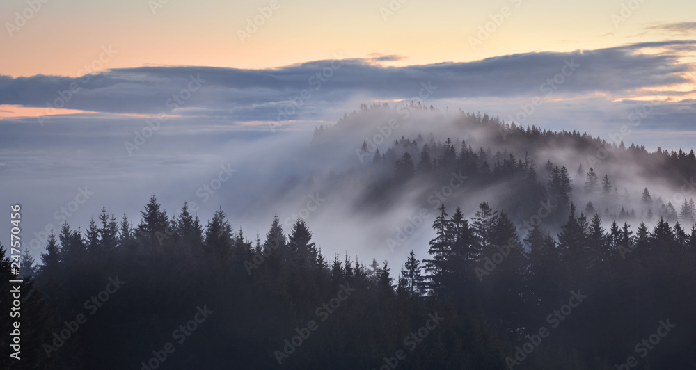 Fototapeta premium Dark coniferous forest with fog and clouds at dawn. Bavaria, Germany