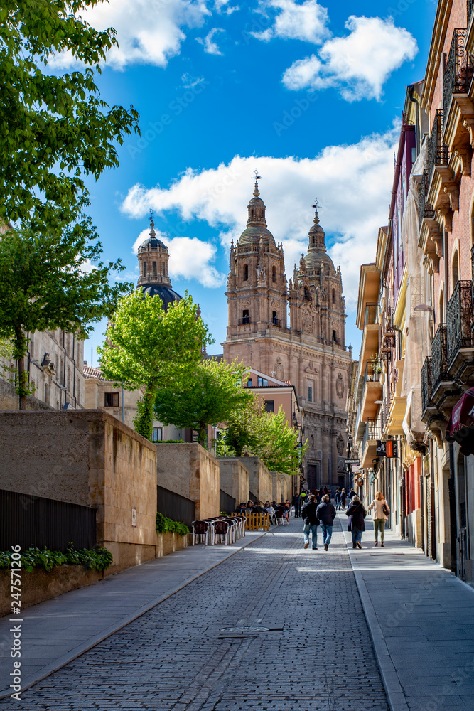view of the Clerecia towers from Palominos street in Salamanca