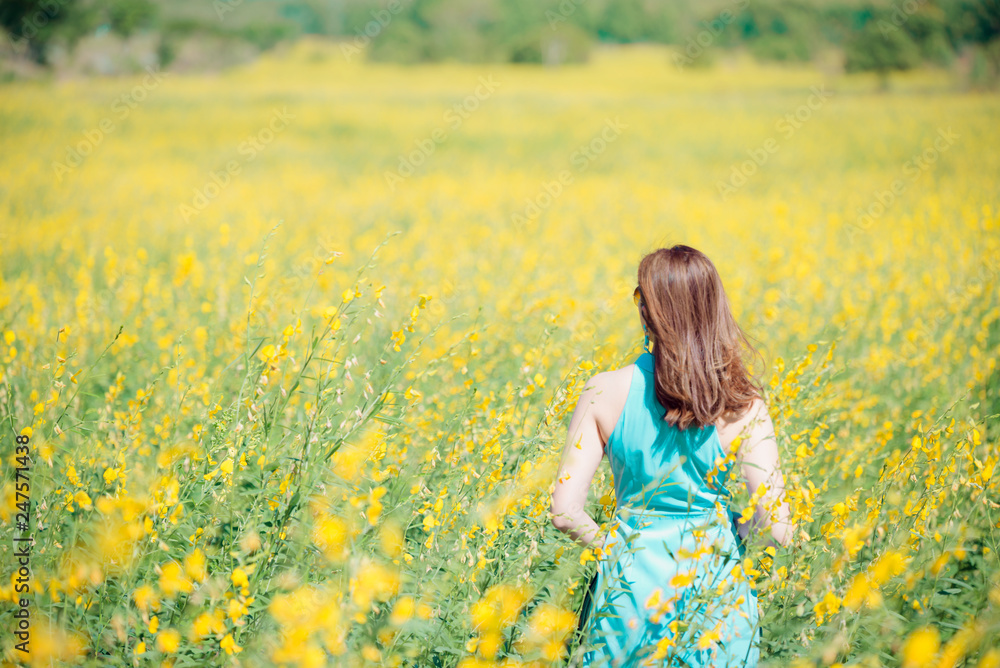Relaxing in a meadow in the summer sun,spring time. Relaxing in a meadow in the summer sun,spring time.