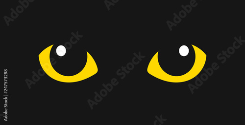 Yellow cat eyes in the dark.